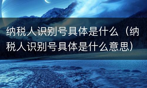 纳税人识别号具体是什么（纳税人识别号具体是什么意思）