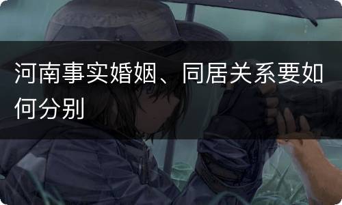 河南事实婚姻、同居关系要如何分别