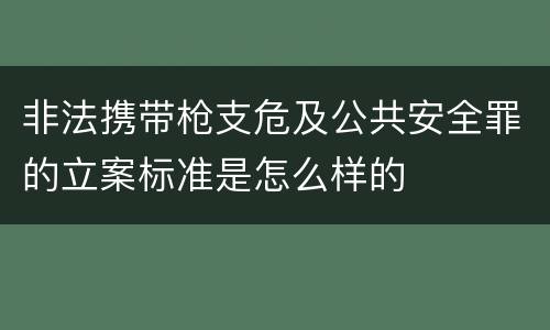 非法携带枪支危及公共安全罪的立案标准是怎么样的