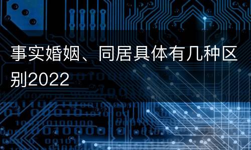 事实婚姻、同居具体有几种区别2022