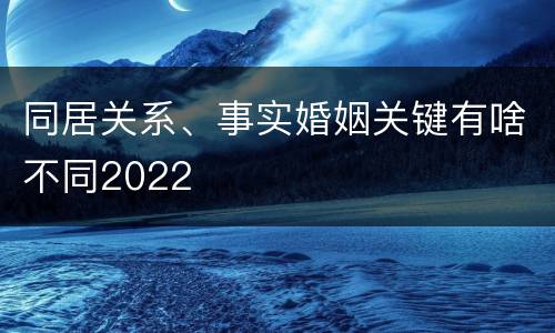 同居关系、事实婚姻关键有啥不同2022