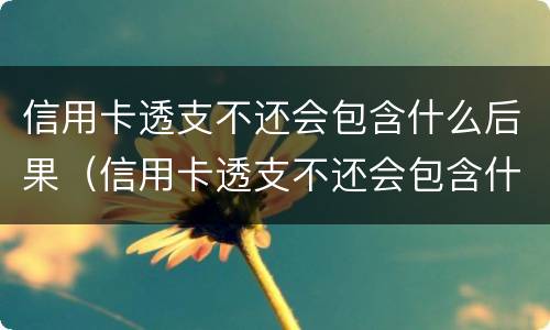 信用卡透支不还会包含什么后果（信用卡透支不还会包含什么后果呢）