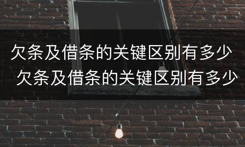 欠条及借条的关键区别有多少 欠条及借条的关键区别有多少种