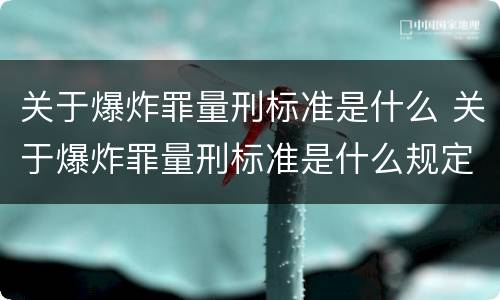 关于爆炸罪量刑标准是什么 关于爆炸罪量刑标准是什么规定