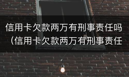 信用卡欠款两万有刑事责任吗（信用卡欠款两万有刑事责任吗判几年）