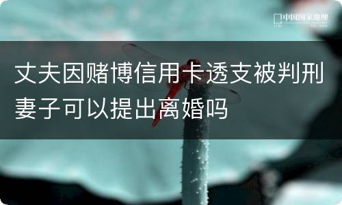 丈夫因赌博信用卡透支被判刑妻子可以提出离婚吗