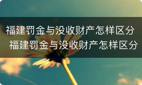 福建罚金与没收财产怎样区分 福建罚金与没收财产怎样区分啊