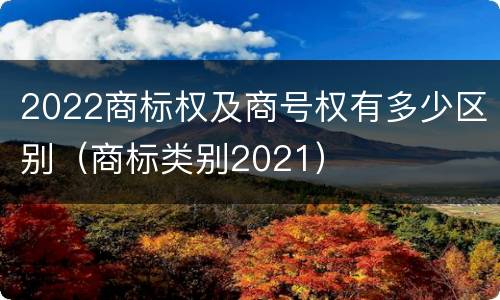 2022商标权及商号权有多少区别（商标类别2021）