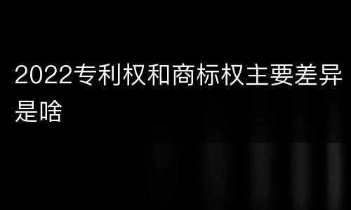 2022专利权和商标权主要差异是啥