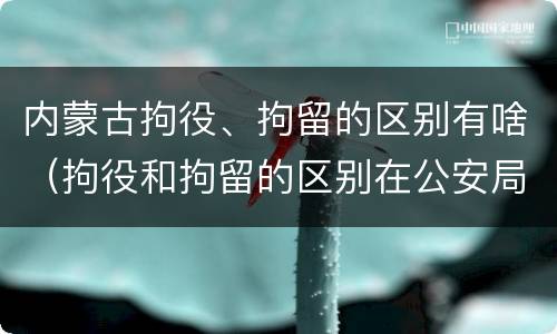 内蒙古拘役、拘留的区别有啥（拘役和拘留的区别在公安局）