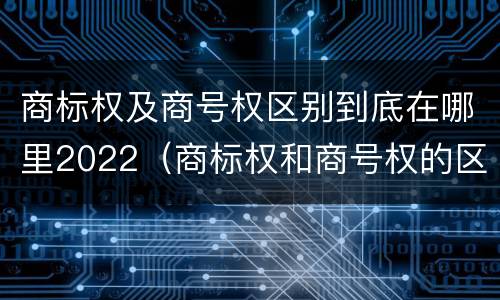 商标权及商号权区别到底在哪里2022（商标权和商号权的区别）