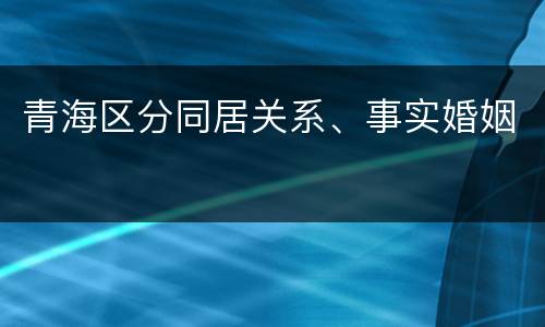 青海区分同居关系、事实婚姻