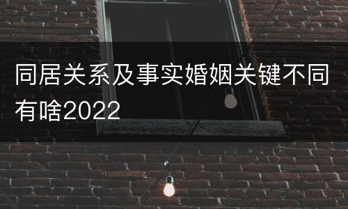 同居关系及事实婚姻关键不同有啥2022