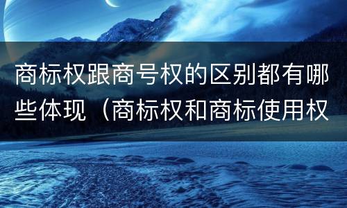 商标权跟商号权的区别都有哪些体现（商标权和商标使用权的区别）