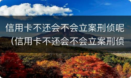 信用卡不还会不会立案刑侦呢（信用卡不还会不会立案刑侦呢怎么办）