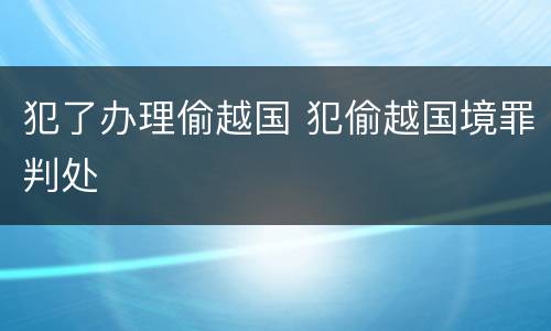 犯了办理偷越国 犯偷越国境罪判处