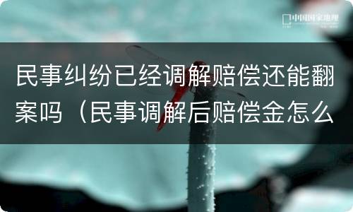 民事纠纷已经调解赔偿还能翻案吗（民事调解后赔偿金怎么找被告要）