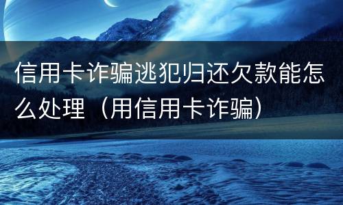 信用卡诈骗逃犯归还欠款能怎么处理（用信用卡诈骗）