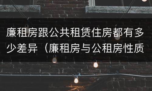 廉租房跟公共租赁住房都有多少差异（廉租房与公租房性质是一样的吗）