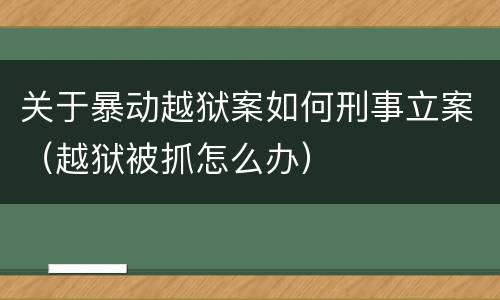 关于暴动越狱案如何刑事立案（越狱被抓怎么办）