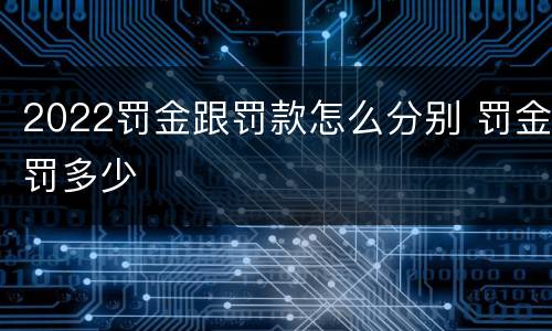 2022罚金跟罚款怎么分别 罚金罚多少