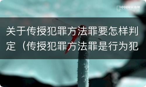 关于传授犯罪方法罪要怎样判定（传授犯罪方法罪是行为犯吗）