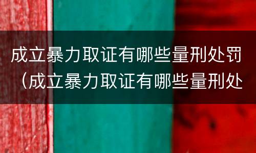 成立暴力取证有哪些量刑处罚（成立暴力取证有哪些量刑处罚标准）