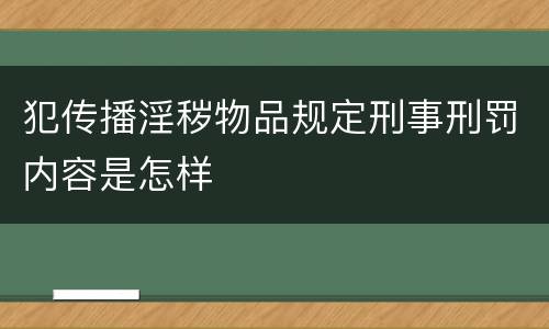 犯传播淫秽物品规定刑事刑罚内容是怎样