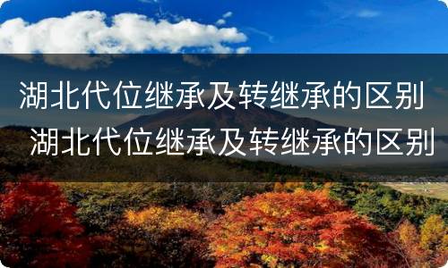 湖北代位继承及转继承的区别 湖北代位继承及转继承的区别是什么