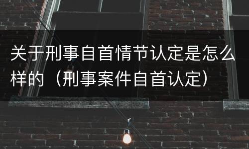 关于刑事自首情节认定是怎么样的（刑事案件自首认定）