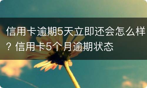 信用卡逾期5天立即还会怎么样? 信用卡5个月逾期状态