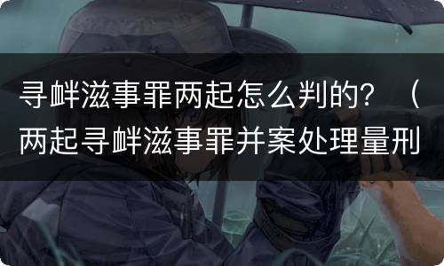 寻衅滋事罪两起怎么判的？（两起寻衅滋事罪并案处理量刑）