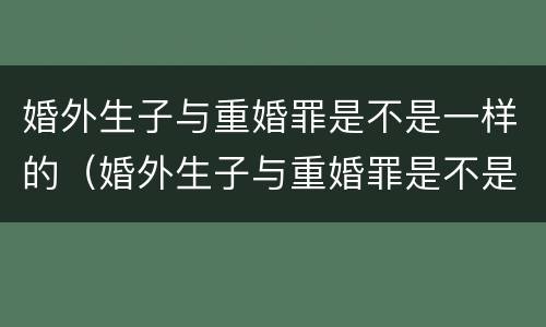 婚外生子与重婚罪是不是一样的（婚外生子与重婚罪是不是一样的判决）