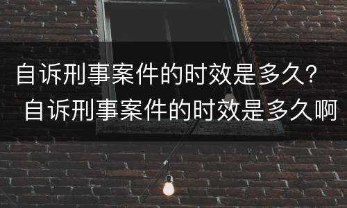 自诉刑事案件的时效是多久？ 自诉刑事案件的时效是多久啊