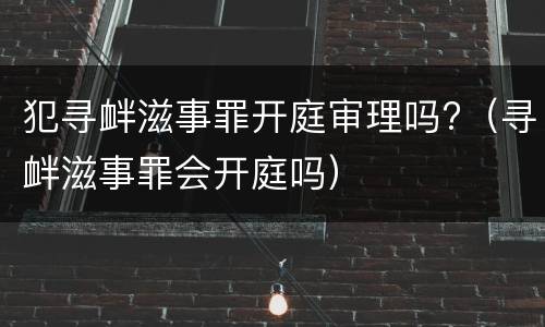 犯寻衅滋事罪开庭审理吗?（寻衅滋事罪会开庭吗）