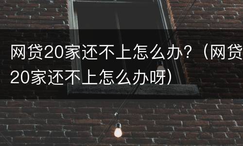 网贷20家还不上怎么办?（网贷20家还不上怎么办呀）