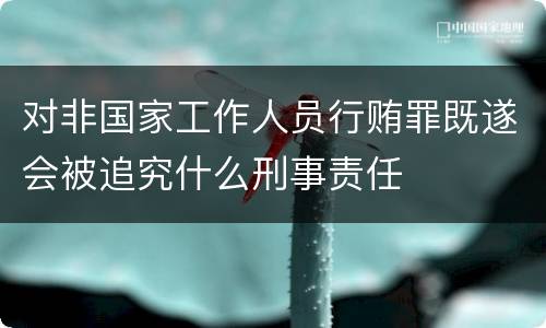 对非国家工作人员行贿罪既遂会被追究什么刑事责任