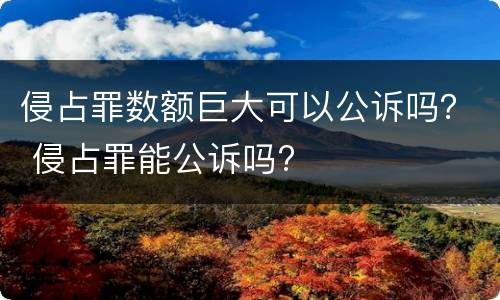 侵占罪数额巨大可以公诉吗？ 侵占罪能公诉吗?