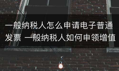 一般纳税人怎么申请电子普通发票 一般纳税人如何申领增值税电子普通发票