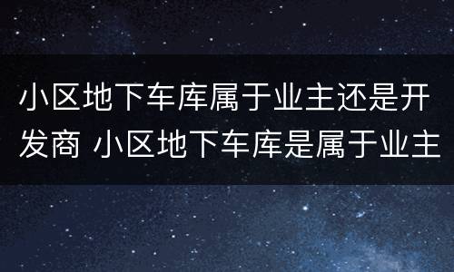 小区地下车库属于业主还是开发商 小区地下车库是属于业主还是属于开发商