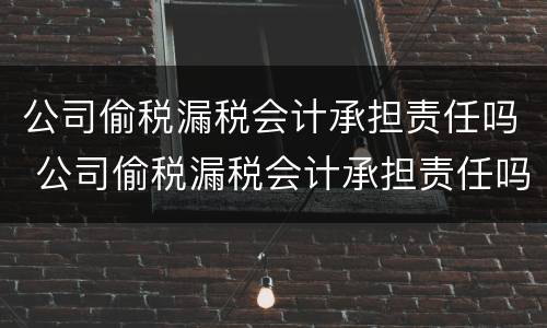 公司偷税漏税会计承担责任吗 公司偷税漏税会计承担责任吗