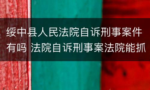 绥中县人民法院自诉刑事案件有吗 法院自诉刑事案法院能抓人吗