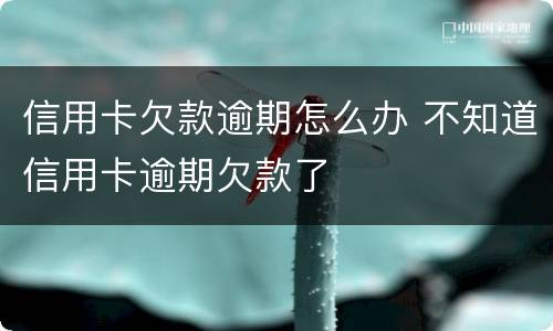 信用卡欠款逾期怎么办 不知道信用卡逾期欠款了