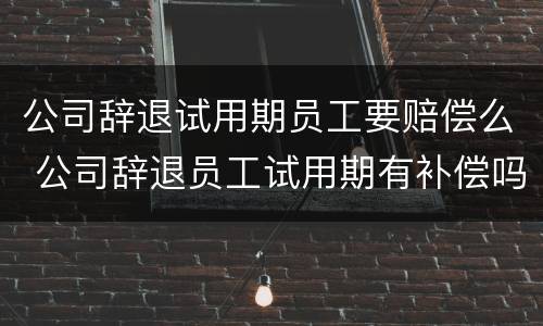 公司辞退试用期员工要赔偿么 公司辞退员工试用期有补偿吗