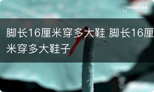 脚长16厘米穿多大鞋 脚长16厘米穿多大鞋子