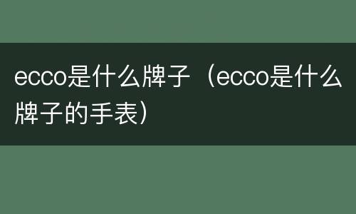 ecco是什么牌子（ecco是什么牌子的手表）