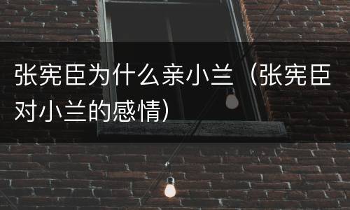 张宪臣为什么亲小兰（张宪臣对小兰的感情）