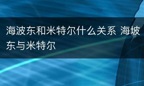 海波东和米特尔什么关系 海坡东与米特尔