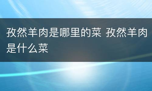 孜然羊肉是哪里的菜 孜然羊肉是什么菜