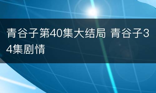 青谷子第40集大结局 青谷子34集剧情